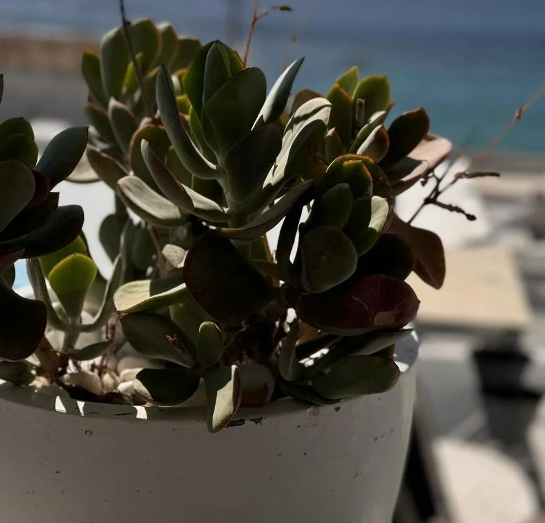Mykonos Seaview Nests - Tourlos Getaways Apartment